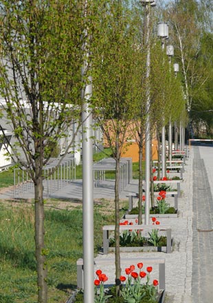 Neugestaltung der Außenanlagen für den Neubau der Biologischen Institute der TU Dresden

